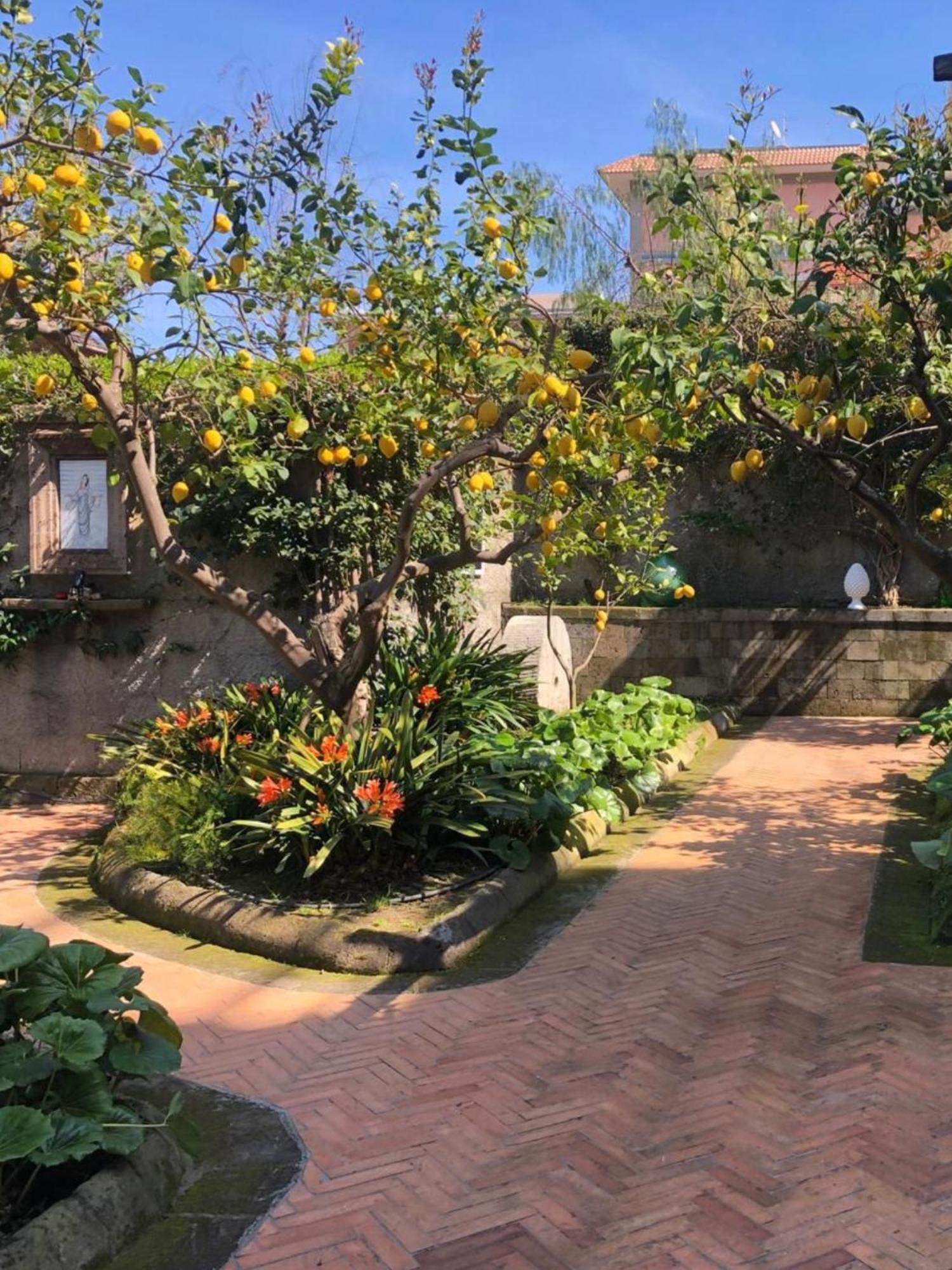 Suite Lidia B&B ソレント エクステリア 写真