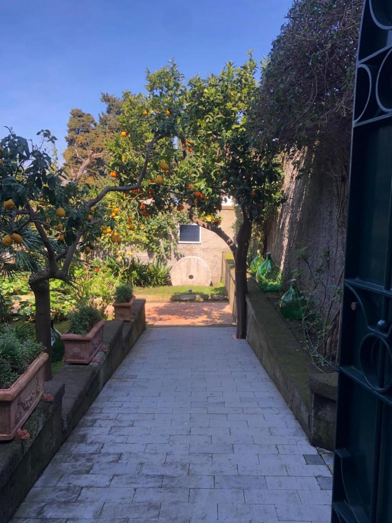 Suite Lidia B&B ソレント エクステリア 写真