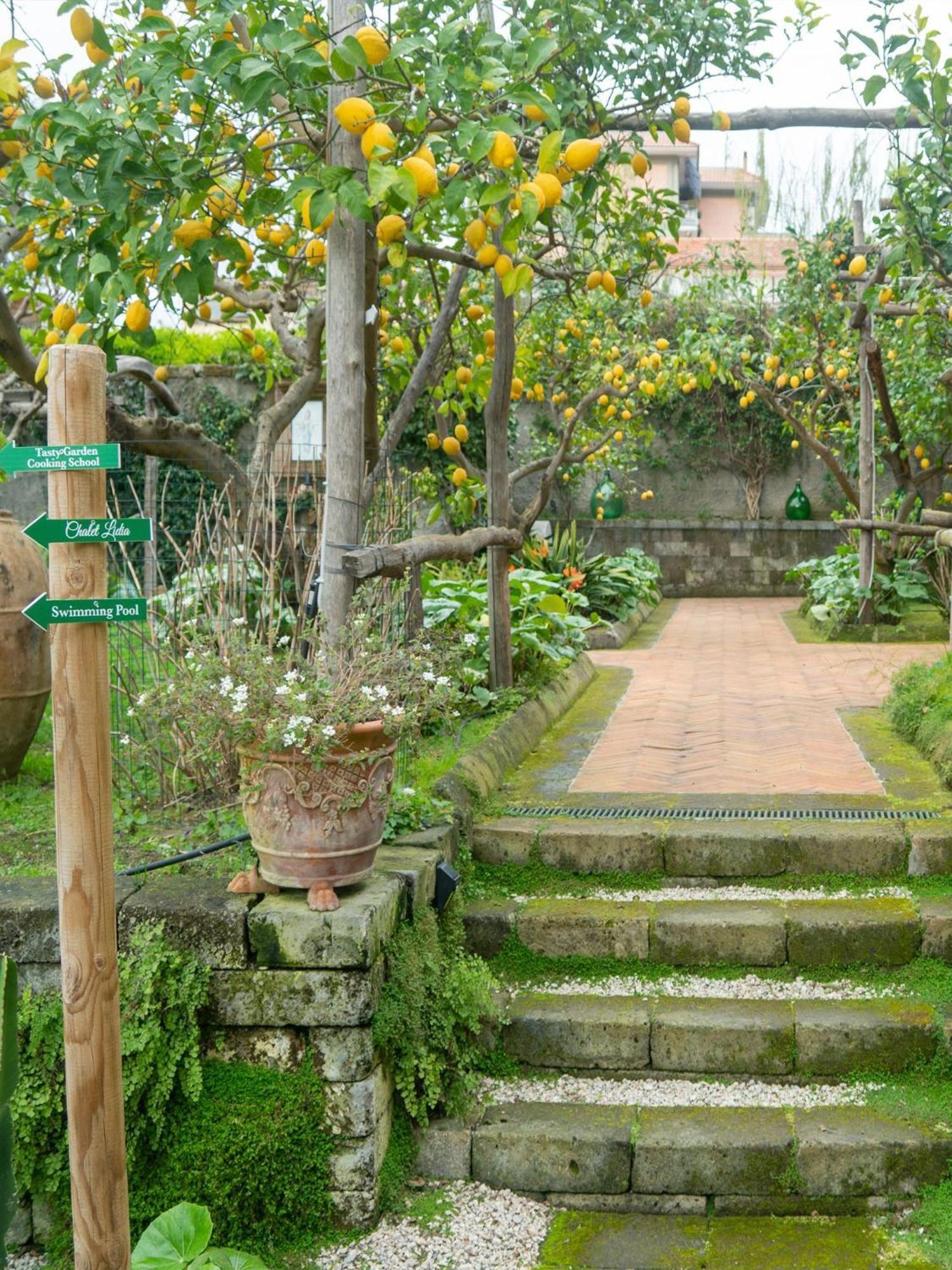 Suite Lidia B&B ソレント エクステリア 写真